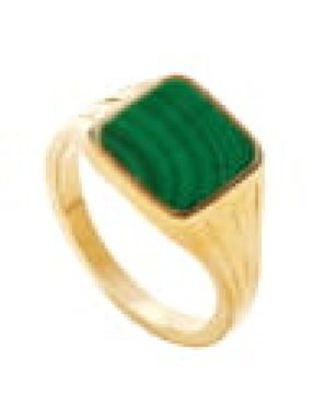 _j2-category-rings
